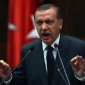 Власти Турции не позволили своим гражданам заступиться за Асада