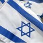 45 русскоязычных евреев приехали защищать Израиль