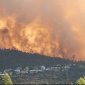 Крупный лесной пожар приближается к Горненскому монастырю под Иерусалимом