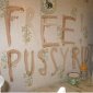 В Казани убиты две женщины, на месте преступления убийца написал кровью: «Free Pussy Riot»