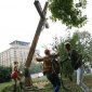 Ночью в двух регионах России срубили  четыре поклонных креста